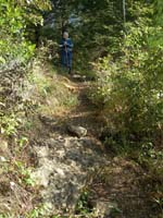 Alice on the trail