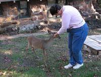 Chris with Deer