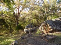 What a lovely place for a picnic