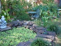 Koi pond at the Josie House