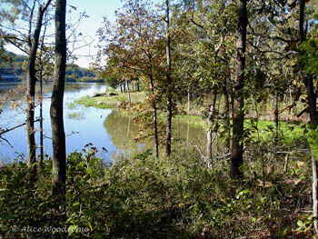 Greenleaf Lake