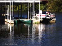 Boats at the Marina